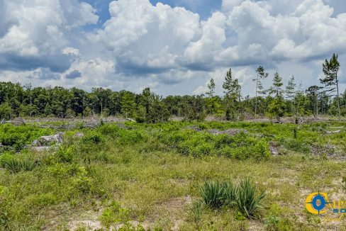 Compass South Bid Sale Jersey Tract-2