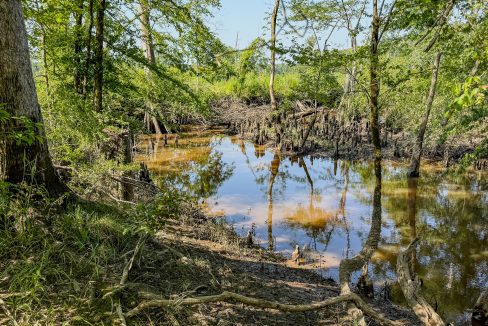 Hermitage Tract Compass South Land Sales-03