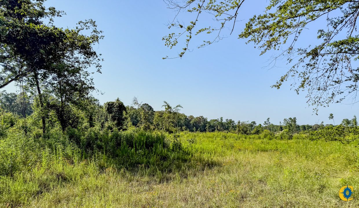 Hermitage Tract Compass South Land Sales-04