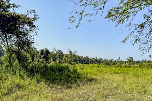 Hermitage Tract Compass South Land Sales-04