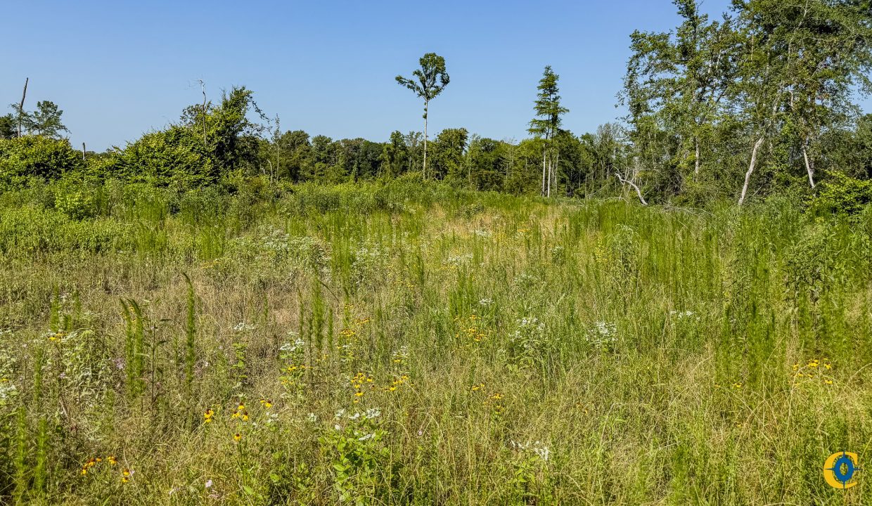 Hermitage Tract Compass South Land Sales-10