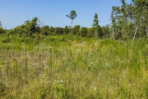 Hermitage Tract Compass South Land Sales-10