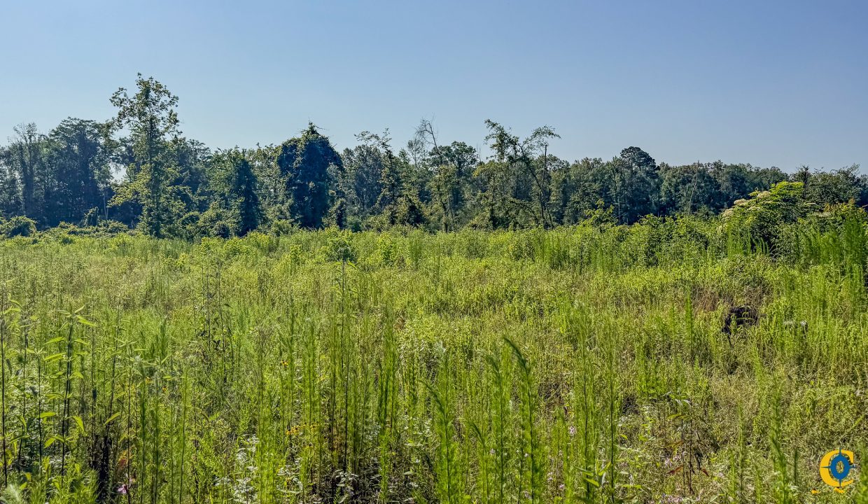Hermitage Tract Compass South Land Sales-11