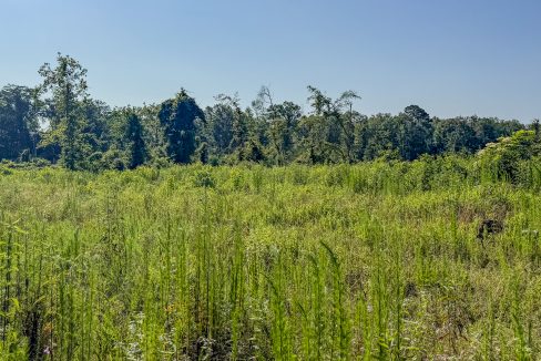 Hermitage Tract Compass South Land Sales-11