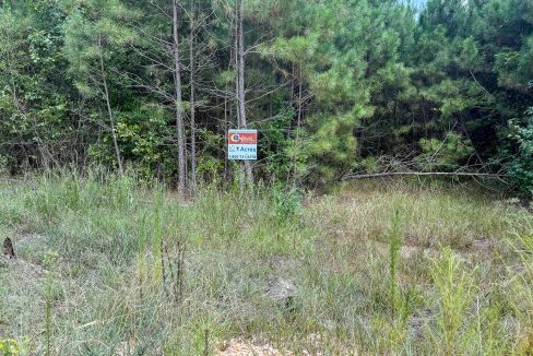 Pleasant Ridge Lots Compass South Land Sales-08