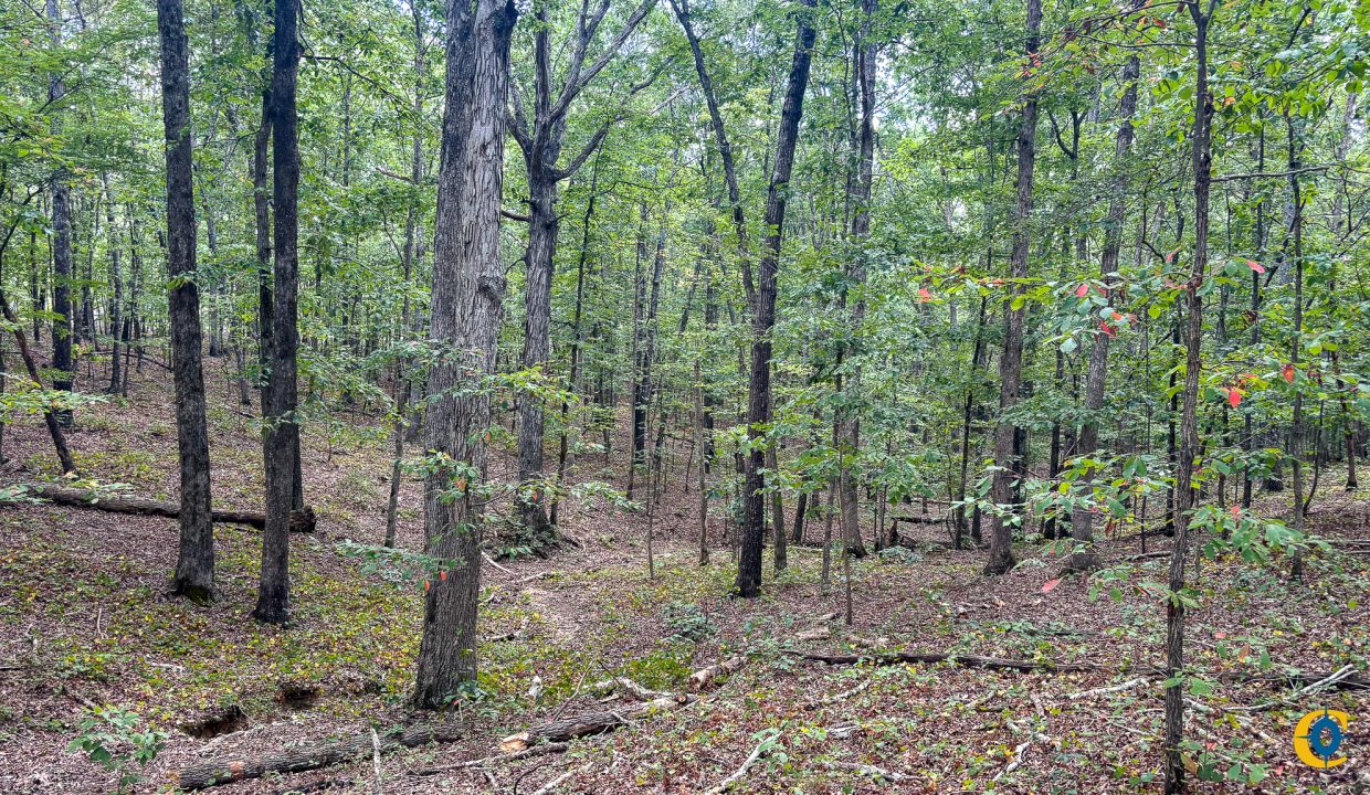 Tennessee River Ridge Compass South Land Sales-01