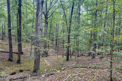 Tennessee River Ridge Compass South Land Sales-01