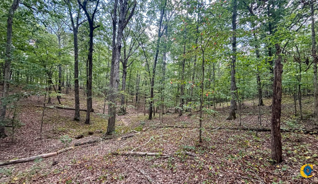Tennessee River Ridge Compass South Land Sales-02