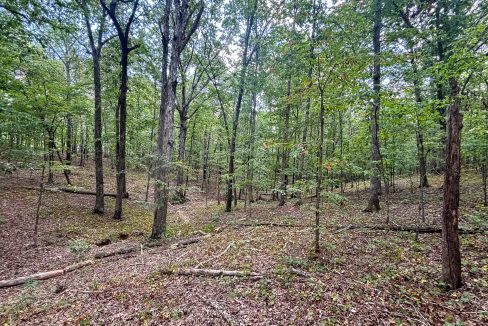Tennessee River Ridge Compass South Land Sales-02