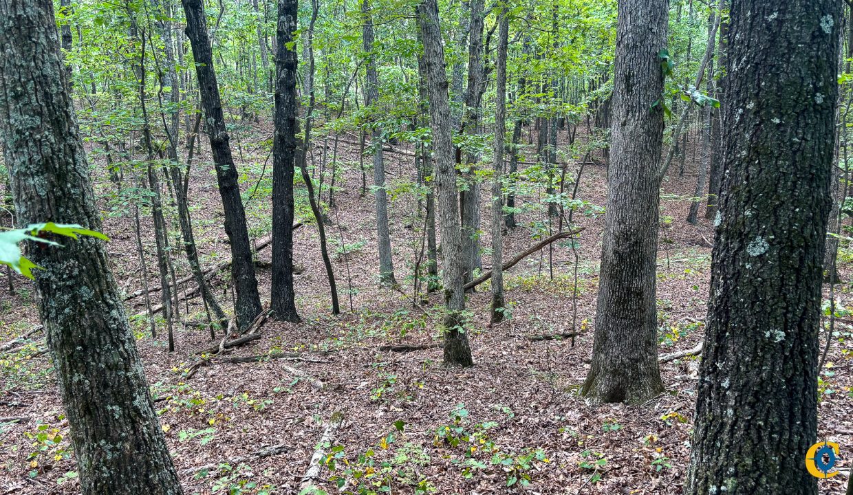 Tennessee River Ridge Compass South Land Sales-03