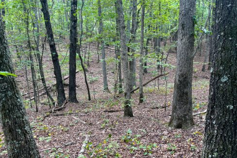 Tennessee River Ridge Compass South Land Sales-03
