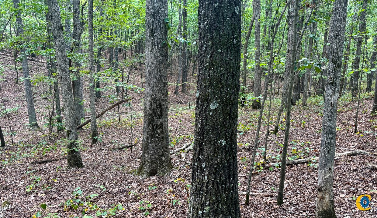 Tennessee River Ridge Compass South Land Sales-04