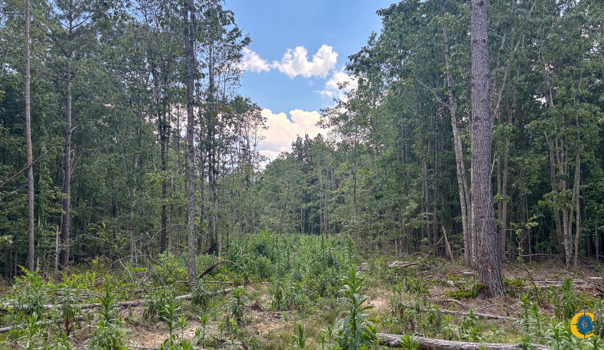 Tennessee River Ridge Compass South Land Sales-05