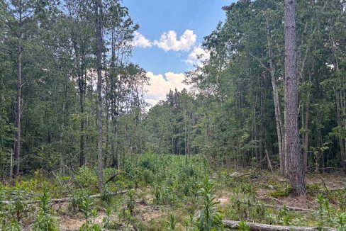 Tennessee River Ridge Compass South Land Sales-05