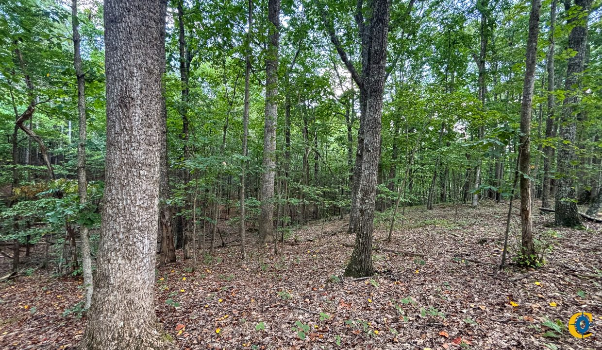 Tennessee River Ridge Compass South Land Sales-06