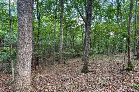 Tennessee River Ridge Compass South Land Sales-06
