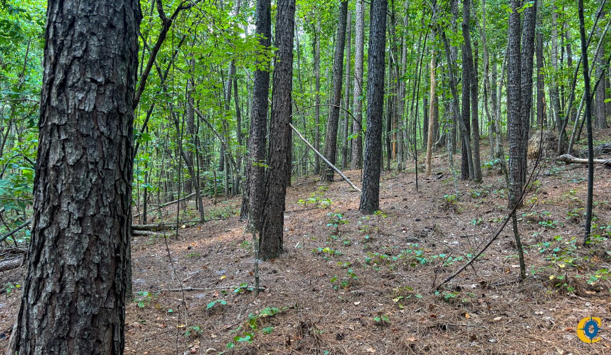 Tennessee River Ridge Compass South Land Sales-07