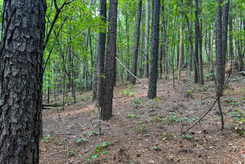Tennessee River Ridge Compass South Land Sales-07