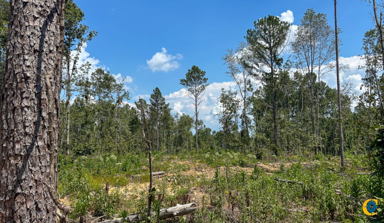 Tennessee River Ridge Compass South Land Sales-08