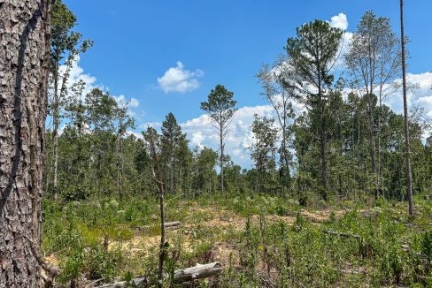 Tennessee River Ridge Compass South Land Sales-08