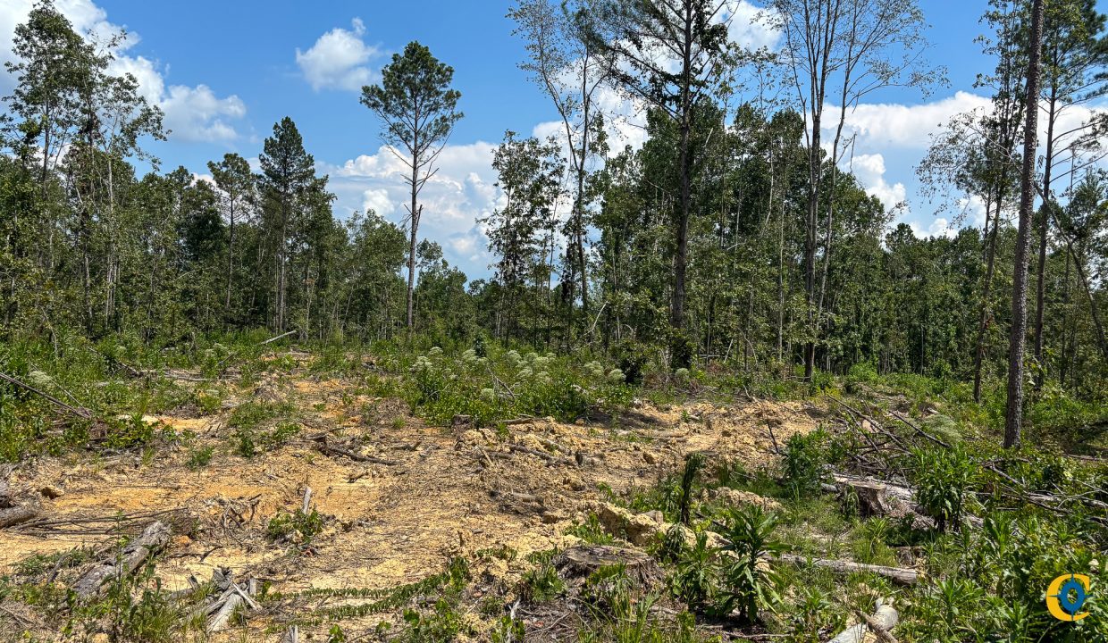 Tennessee River Ridge Compass South Land Sales-09