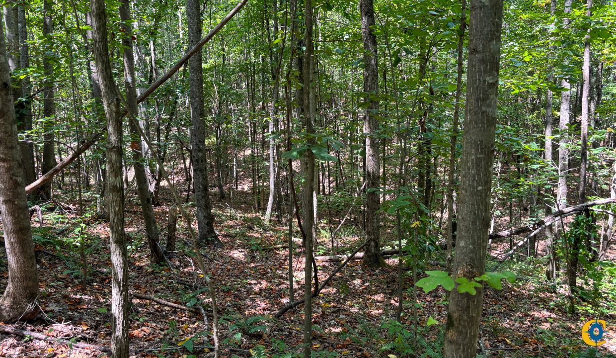 Tennessee River Ridge Compass South Land Sales-10