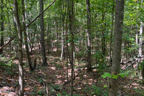 Tennessee River Ridge Compass South Land Sales-10