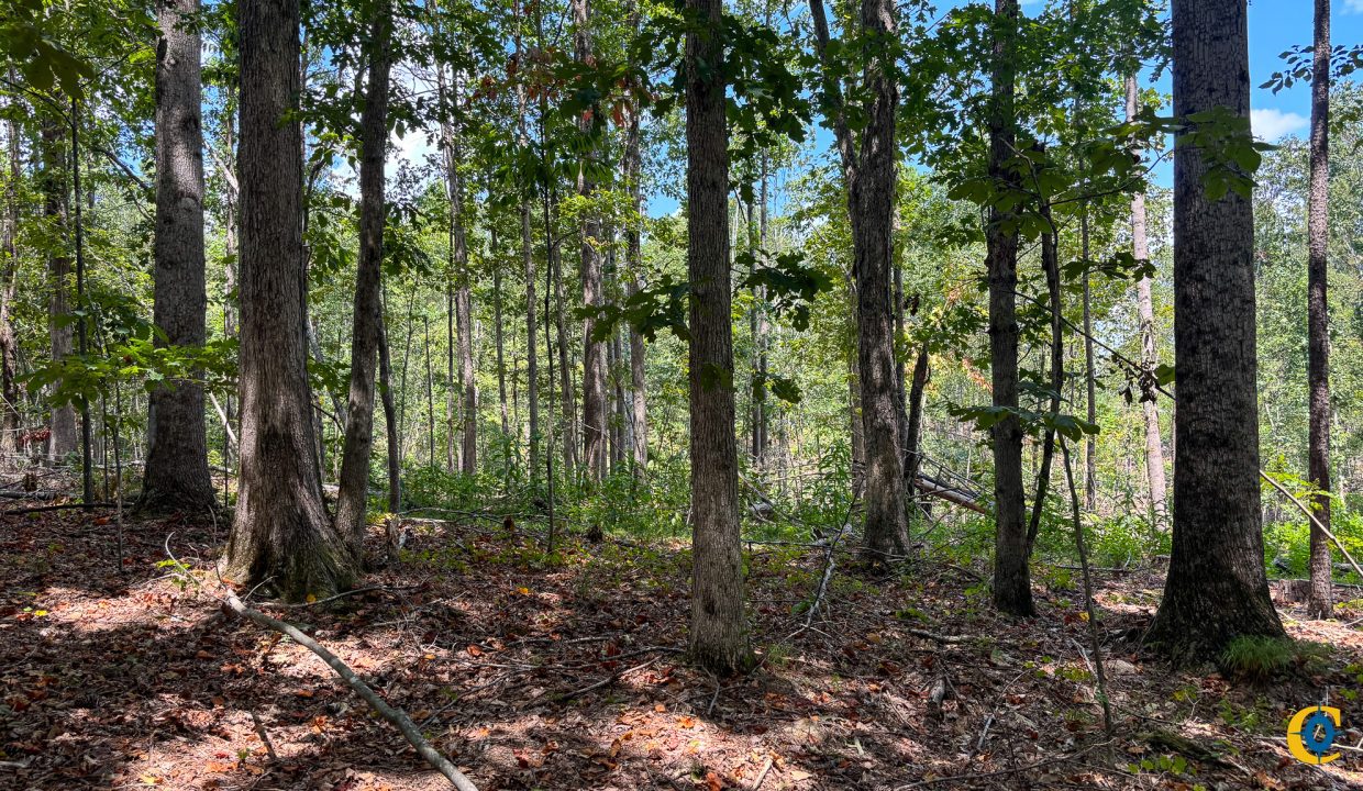 Tennessee River Ridge Compass South Land Sales-12