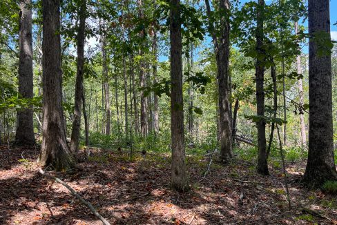 Tennessee River Ridge Compass South Land Sales-12