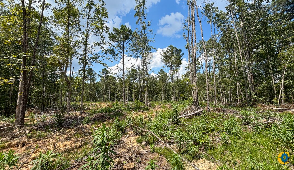 Tennessee River Ridge Compass South Land Sales-13