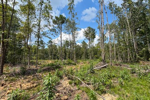 Tennessee River Ridge Compass South Land Sales-13
