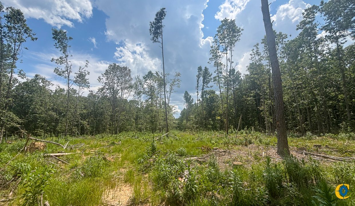 Tennessee River Ridge Compass South Land Sales-15