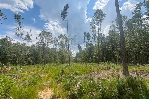 Tennessee River Ridge Compass South Land Sales-15