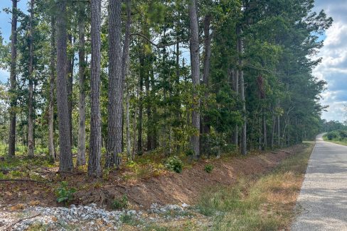 Tennessee River Ridge Compass South Land Sales-16