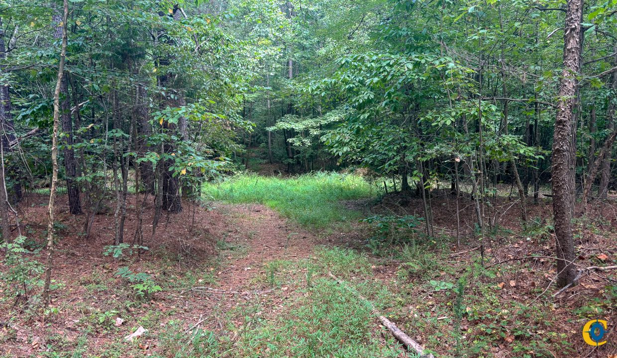 Tennessee River Ridge Compass South Land Sales-18