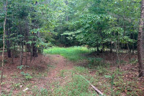 Tennessee River Ridge Compass South Land Sales-18