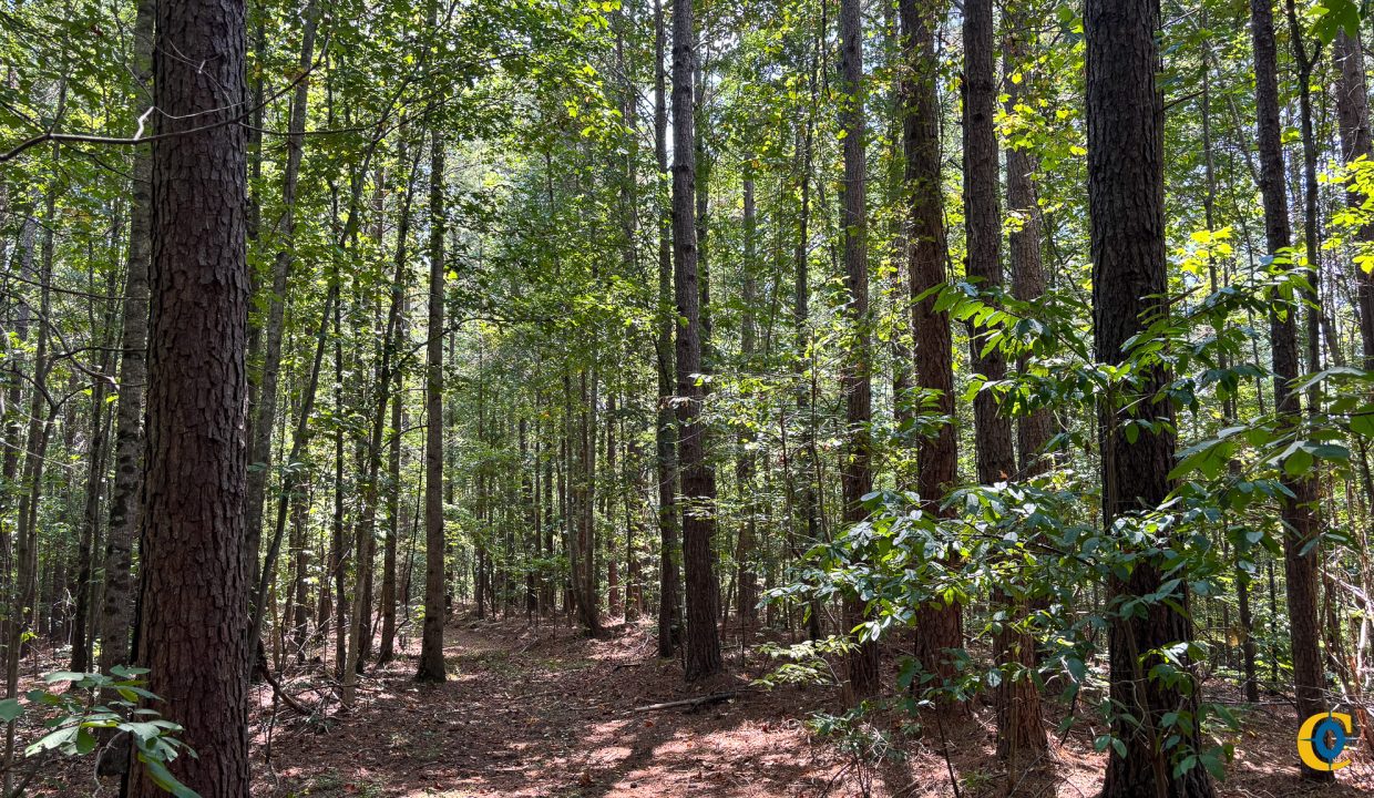 Tennessee River Ridge Compass South Land Sales-19