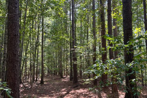 Tennessee River Ridge Compass South Land Sales-19