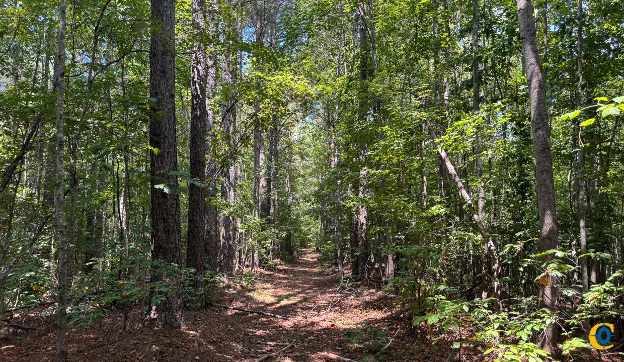 Tennessee River Ridge Compass South Land Sales-20