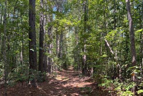 Tennessee River Ridge Compass South Land Sales-20