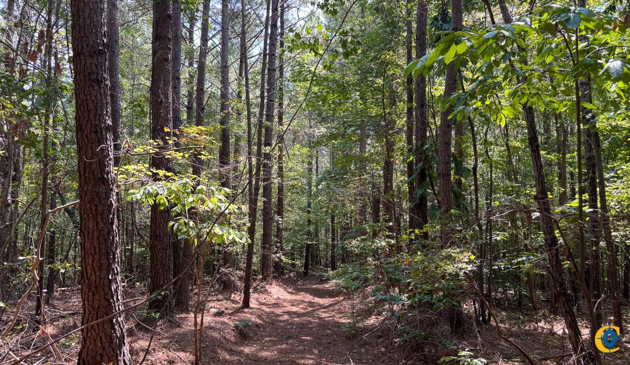 Tennessee River Ridge Compass South Land Sales-21