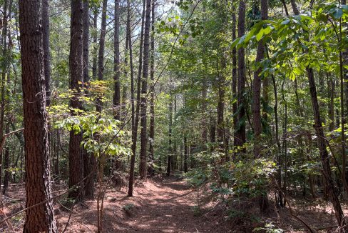 Tennessee River Ridge Compass South Land Sales-21