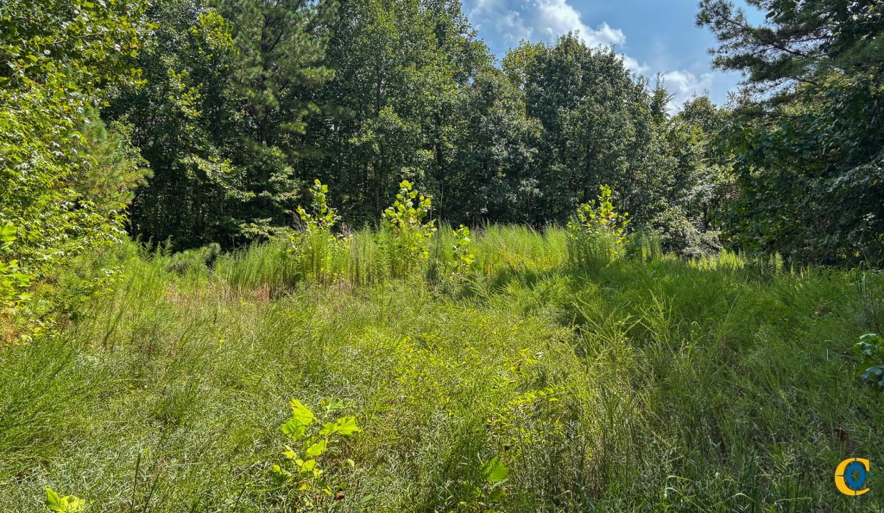 Tennessee River Ridge Compass South Land Sales-23