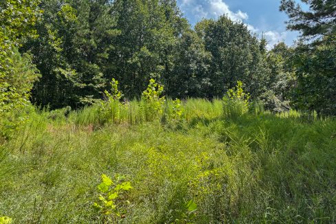 Tennessee River Ridge Compass South Land Sales-23