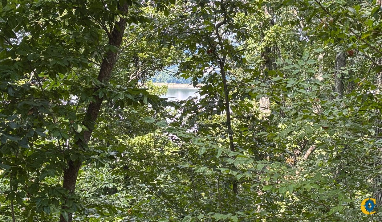 Tennessee River Ridge Compass South Land Sales-25