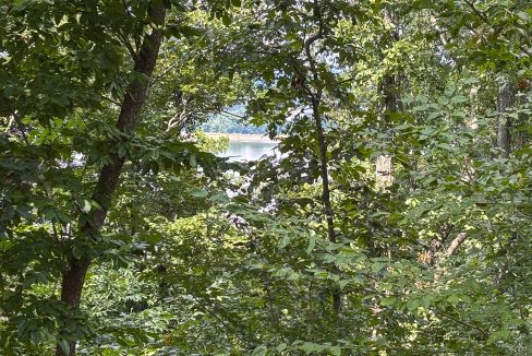 Tennessee River Ridge Compass South Land Sales-25