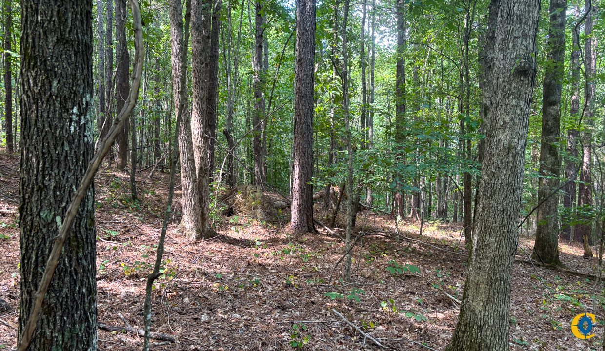 Tennessee River Ridge Compass South Land Sales-27