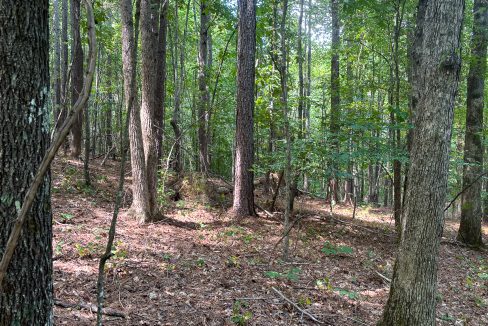 Tennessee River Ridge Compass South Land Sales-27