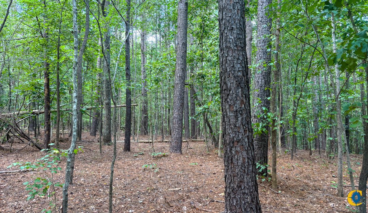 Tennessee River Ridge Compass South Land Sales-28