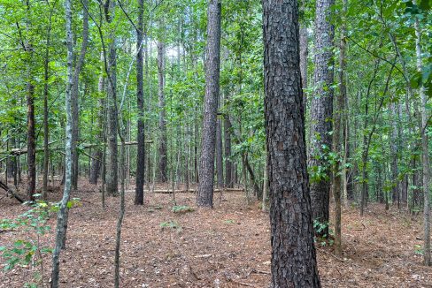 Tennessee River Ridge Compass South Land Sales-28